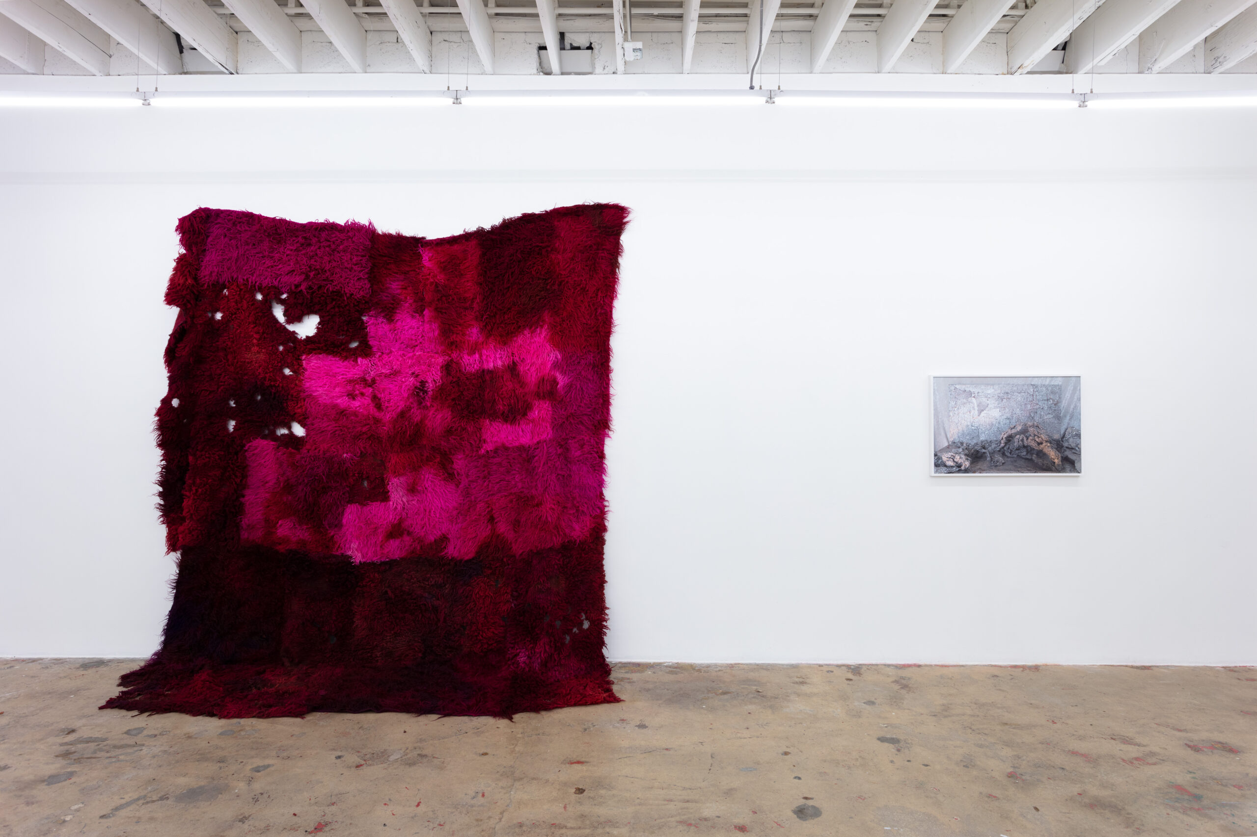 Anna Betbeze, Forms Like Dreams, installation view