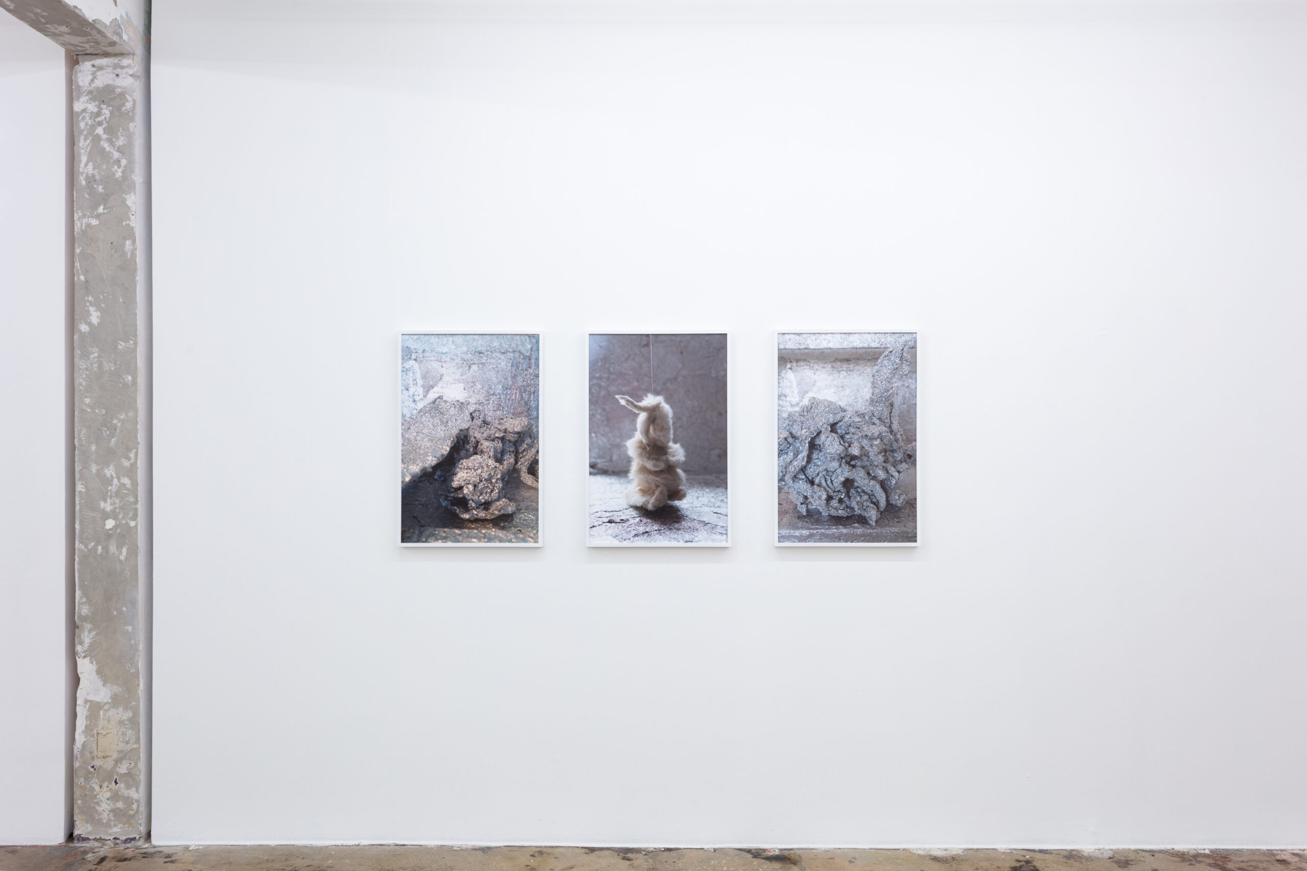 Anna Betbeze, Forms Like Dreams, installation view